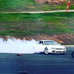 Meet your Posher, Shelby